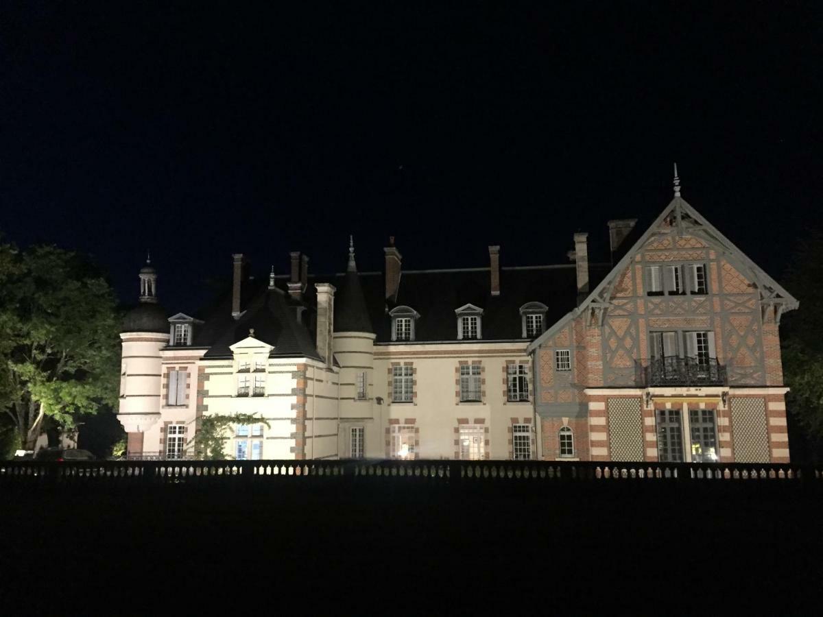 Chateau De La Faye Menetreol-sur-Sauldre Luaran gambar